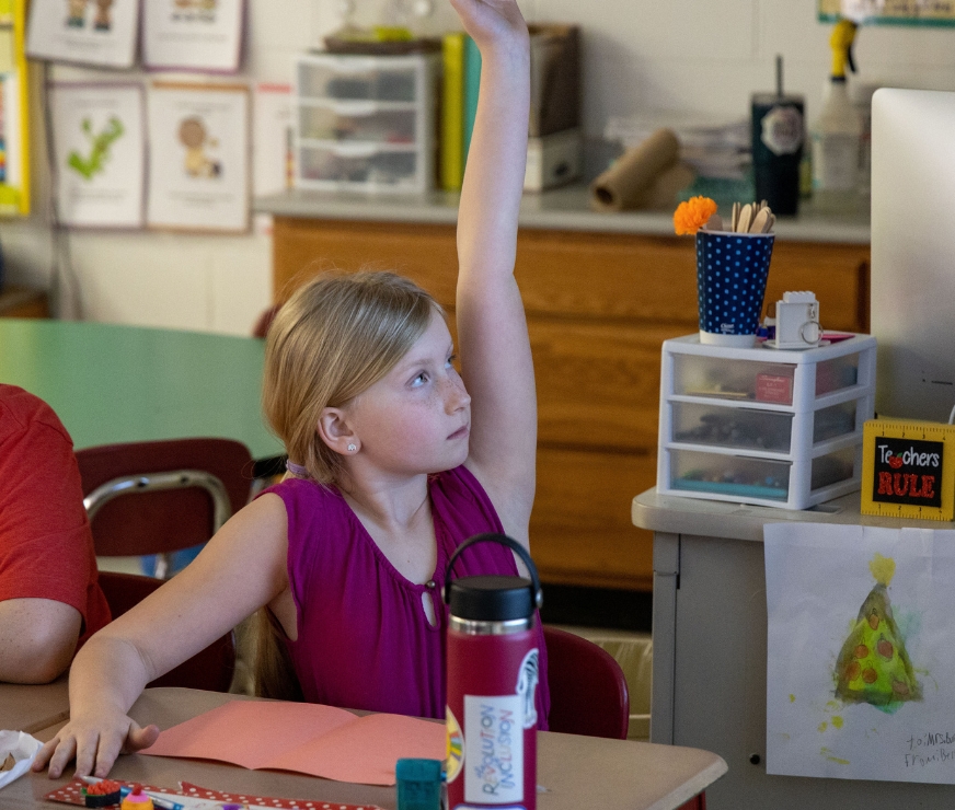 Student sitting at desk raises their hand to ask a question during a lesson.