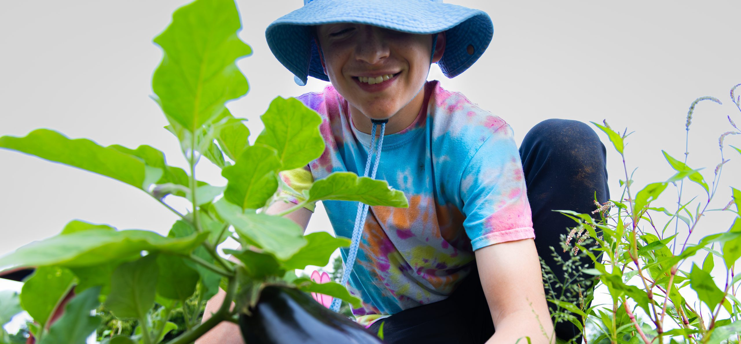 A middle school student plants greenery.